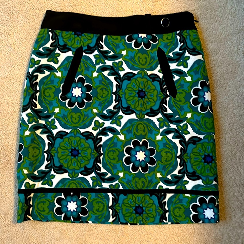 Ann Taylor skirt